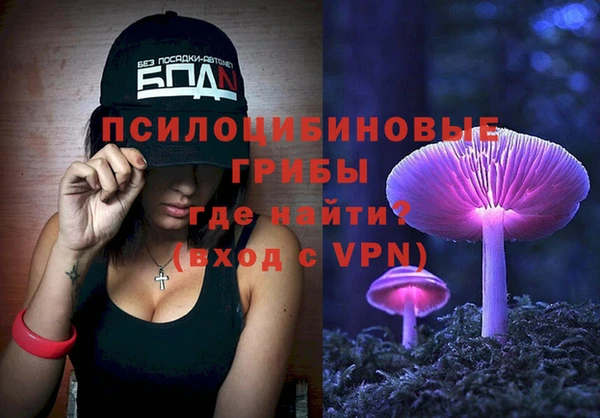стафф Пестово